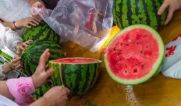 吃瓜視頻大全高清,高清盛宴，揭秘娛樂圈幕后故事