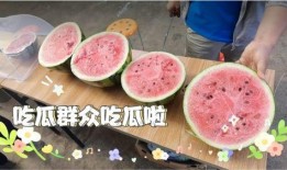 今日吃瓜每日,揭秘娛樂圈最新熱點(diǎn)事件