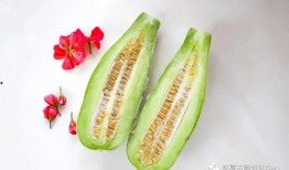 懷仁最近網(wǎng)紅大瓜