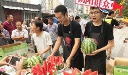 朝陽吃瓜網,揭秘娛樂圈最新熱點，帶你領略明星幕后故事