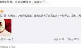 明星資訊是什么意思,揭秘娛樂圈最新動態