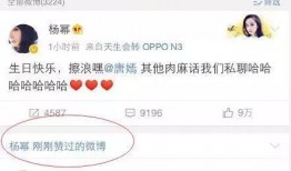 51今日吃瓜明星黑料,明星黑料揭秘，真相與謠言的較量