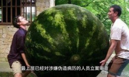 網(wǎng)絡大瓜,揭秘娛樂圈幕后真相，帶你走進明星隱私世界