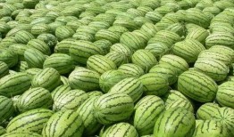 今日吃瓜熱門大瓜每日更新,緊跟熱門大瓜，揭秘娛樂(lè)圈最新動(dòng)態(tài)