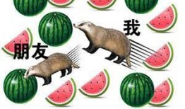 熱門大瓜每日更新校園網紅 熱點爆料