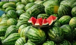 吃瓜網官網,帶你領略網絡娛樂資訊的盛宴