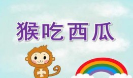 吃瓜網(wǎng)在線觀看視頻 吃瓜ppt,揭秘吃瓜PPT背后的精彩故事