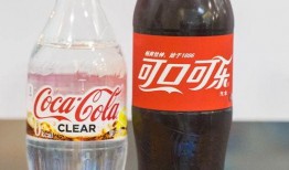 網紅大可樂,揭秘網絡紅人的崛起之路