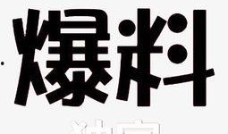 獨家爆料素材,震驚內幕，揭秘某事件背后驚人真相！