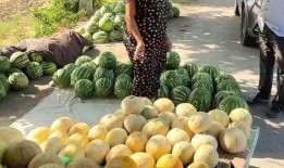 熱點(diǎn)吃瓜,吃瓜群眾如何解讀明星事件