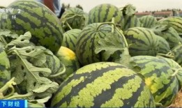 熱點吃瓜,吃瓜群眾如何解讀明星事件