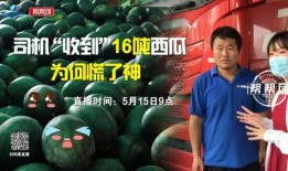 今日吃瓜爆料,娛樂(lè)圈最新猛料大揭秘！