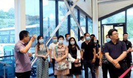 臨朐網紅大玲子事件,揭秘網絡紅人的爭議與真相