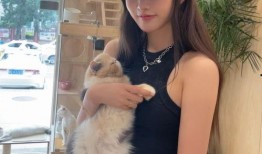 今日吃瓜51cg熱門大瓜娜娜,今日吃瓜51cg熱門大瓜，揭秘娛樂圈風云變幻