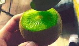 抖音網紅吃瓜泄密 吃瓜爆料,吃瓜泄密背后的娛樂圈風云