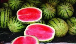 52每日大瓜視頻,揭秘娛樂圈幕后故事，帶你領略明星真實生活