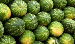 熱點(diǎn)吃瓜,吃瓜群眾如何解讀明星事件