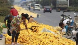 社會熱點話題事件在哪里找 體育圈的天花板 爆料網吃瓜黑料反差入口,體育圈天花板、爆料網黑料與反差入口的交織