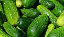 帶你吃瓜,揭秘娛樂圈那些不為人知的幕后故事