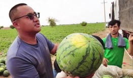 56吃瓜網,揭秘娛樂圈最新熱點，帶你領略明星幕后故事