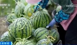 網(wǎng)紅大瓜博雅吃瓜視頻最全觀看,全網(wǎng)最全大瓜集錦，一網(wǎng)打盡網(wǎng)紅熱點(diǎn)