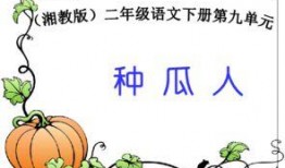 瓜瓜吃瓜ppt,揭秘PPT中的趣味與智慧