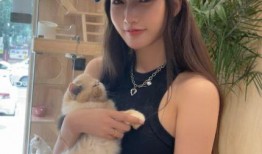 今日吃瓜51cg熱門大瓜娜娜,今日吃瓜51cg熱門大瓜，揭秘娛樂圈風云變幻