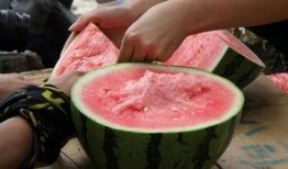 51朝陽吃瓜,揭秘娛樂圈最新吃瓜事件，帶你領略明星幕后故事