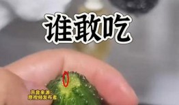 52吃瓜爆料免費(fèi)吃瓜視頻,免費(fèi)暢享熱門吃瓜視頻盛宴