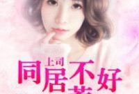 娛樂(lè)圈小說(shuō),娛樂(lè)圈的逆襲之路