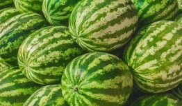 吃瓜視頻每日大賽 吃瓜網(wǎng)官網(wǎng),每日大賽精彩回顧，揭秘熱門吃瓜瞬間