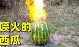 熱門大瓜,熱門大瓜背后的驚人真相