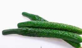 熱門大瓜每日更新校園網(wǎng)紅,每日熱門大瓜新鮮速遞