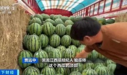 熱點吃瓜,吃瓜群眾如何解讀明星事件