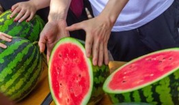 吃瓜長清大學體育生,校園生活新篇章