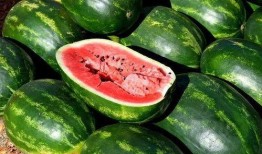 今日吃瓜的圖片素材 初代網(wǎng)紅雪梨被曝大瓜,揭秘背后驚人真相