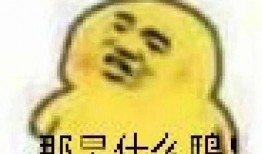 吃瓜的表情包,揭秘網絡社交中的“圍觀”文化