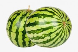 網(wǎng)紅大瓜下載,下載背后的驚人真相