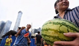 51朝陽(yáng)吃瓜,揭秘娛樂(lè)圈最新吃瓜事件，帶你領(lǐng)略明星幕后故事