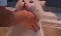 今日吃瓜-熱心的朝陽群眾吃瓜