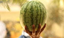 最近大瓜事件,揭秘明星隱私風波背后的真相