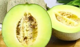 網(wǎng)紅熱瓜,揭秘網(wǎng)絡(luò)紅人的崛起與爭議