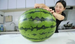 網紅大瓜等你來開,大瓜等你來開，獨家爆料盡在此處