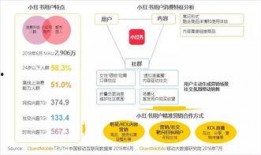 熱點爆料功能 體育圈的天花板,揭秘熱點爆料背后的傳奇故事