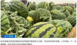 瓜老師,開啟人生新篇章