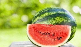 吃瓜網(wǎng)51官網(wǎng)版,熱門資訊一網(wǎng)打盡