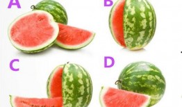 52每日大瓜視頻,揭秘娛樂圈幕后故事，帶你領略明星真實生活