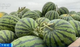 熱點吃瓜,吃瓜群眾如何解讀明星事件