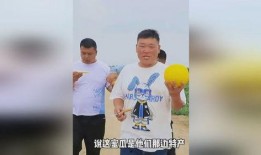 今日吃瓜體育生男友,揭秘校園戀情背后的甜蜜與挑戰