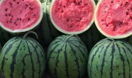 吃瓜網官網免費觀看,熱門劇集一網打盡！